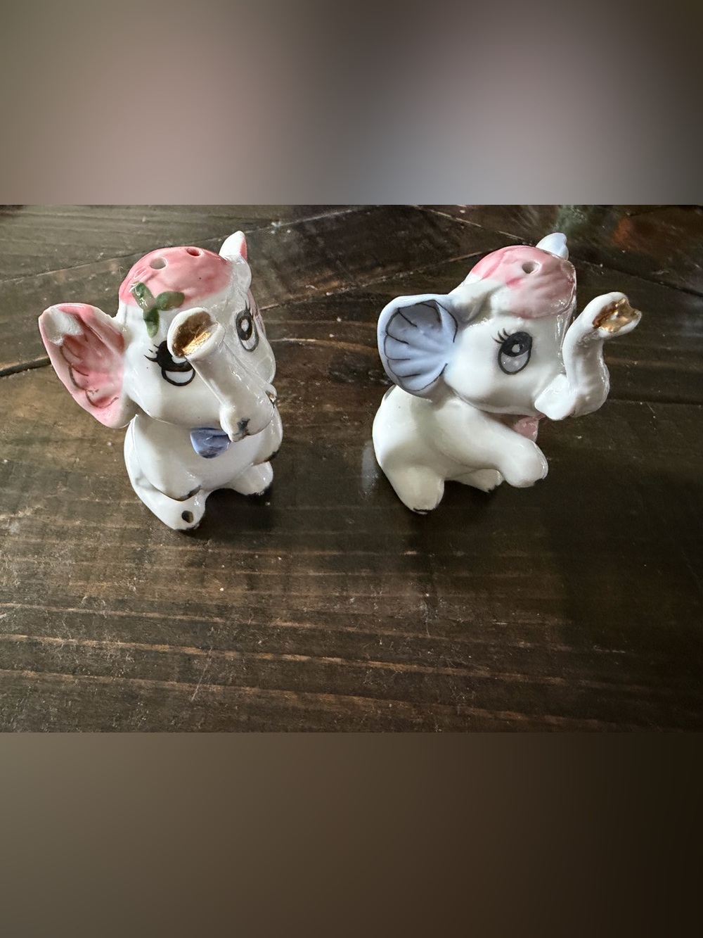 Elephant, salt and pepper